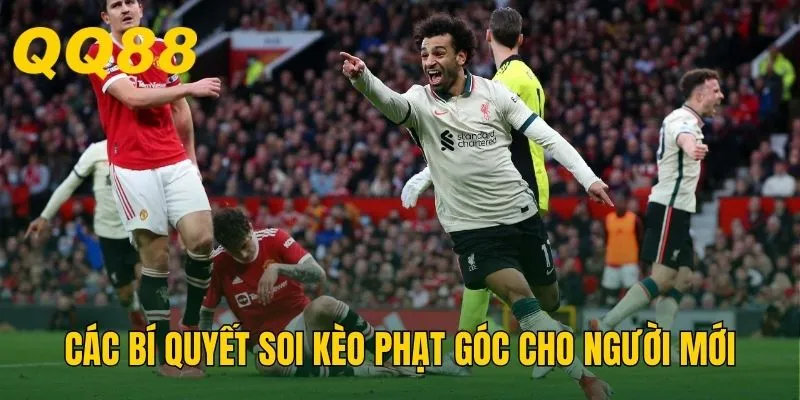 Các bí quyết soi kèo phạt góc cho người mới